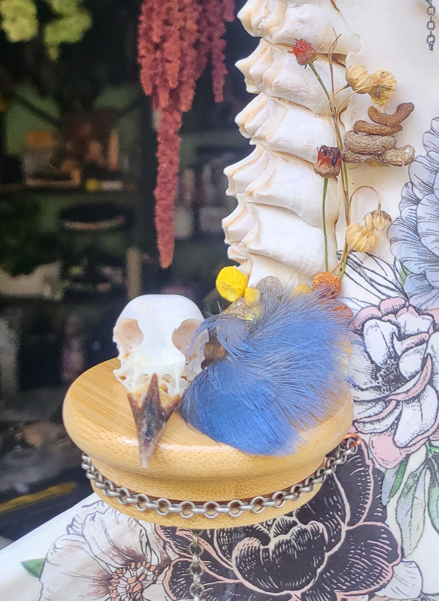 Moose Jaw Wall hanging mini alter with sun catcher and colorado mushrooms & flora