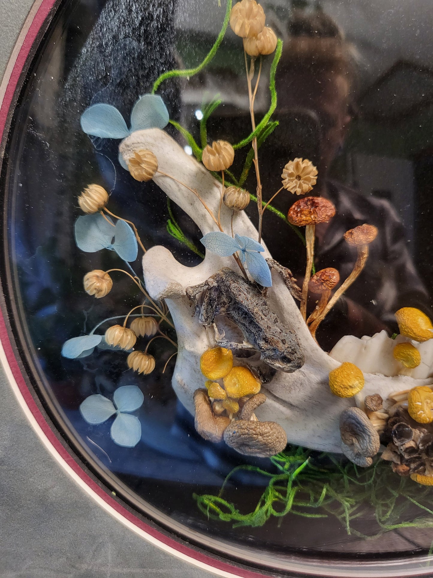 Antique Frame with Frog and friend